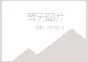 吴忠晓夏服务有限公司